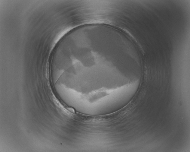 X0000076331468200610201652