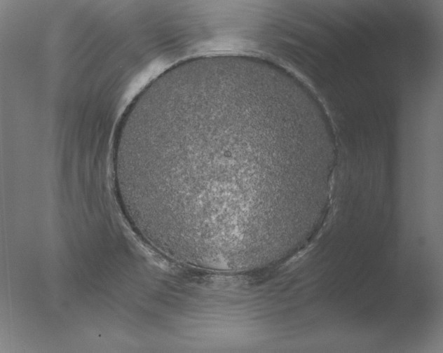 X0000076331469200610201652