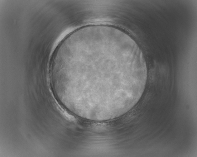 X0000076331470200610201652