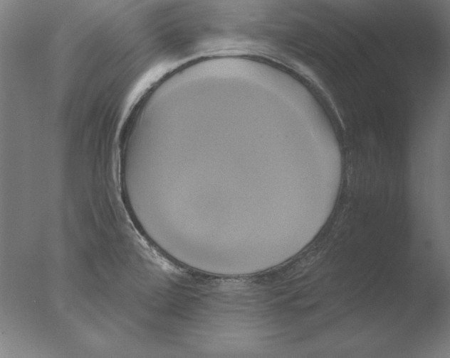 X0000076331472200610201652