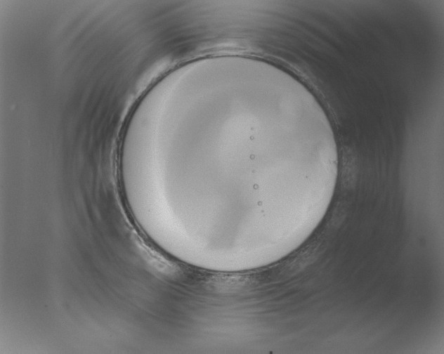 X0000076331474200610201652