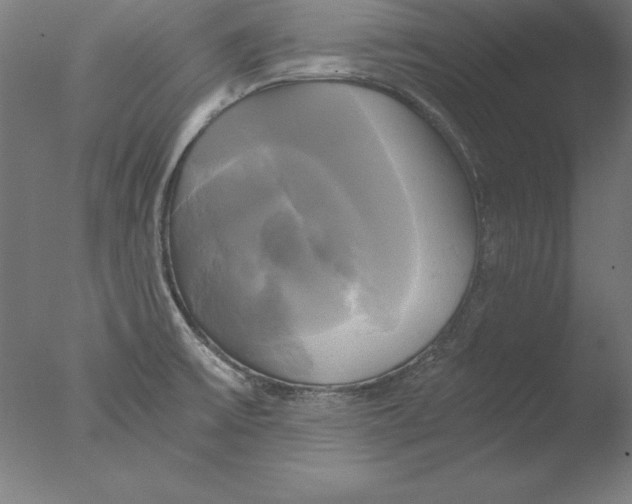 X0000076331475200610201652