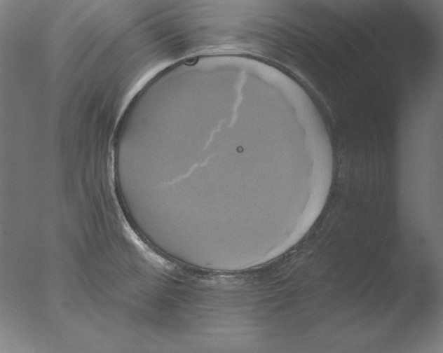 X0000076331476200610201652