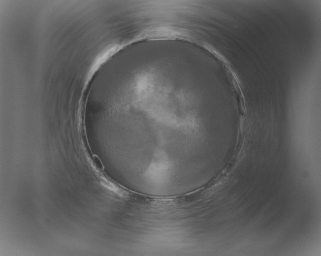 X0000076331477200610201652