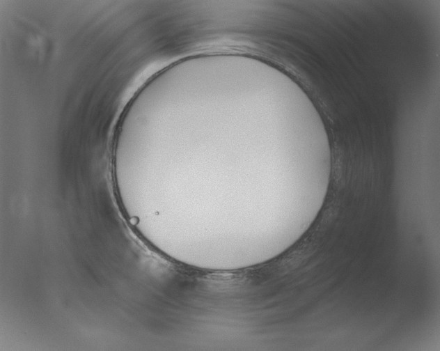 X0000076331478200610201652