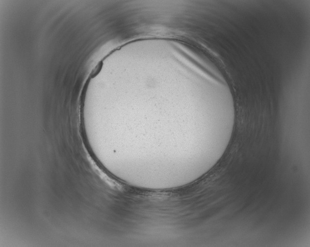 X0000076331479200610201652