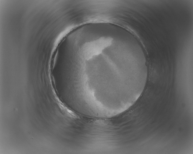 X0000076331480200610201652