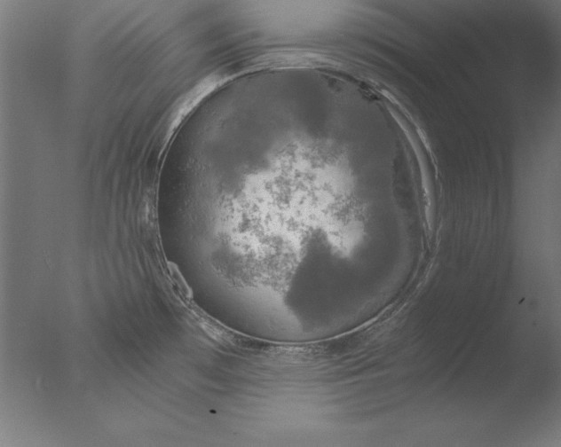 X0000076331481200610201652