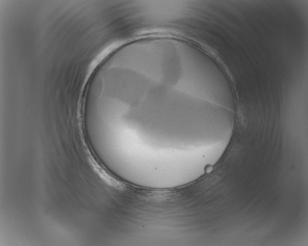 X0000076331482200610201652