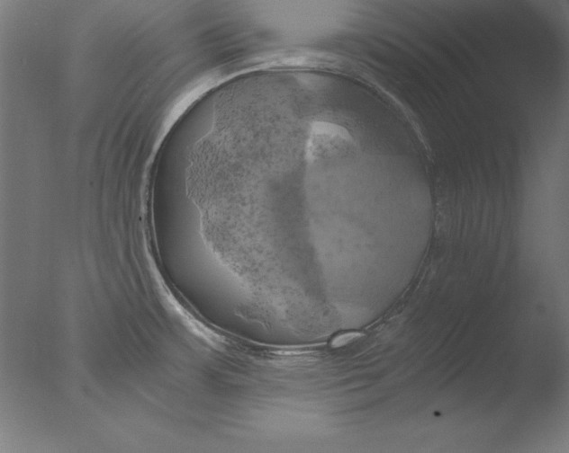 X0000076331483200610201652