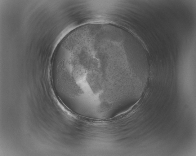 X0000076331484200610201652