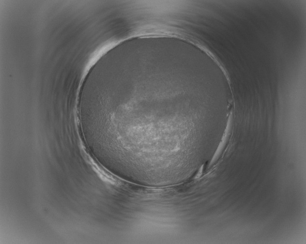 X0000076331485200610201652