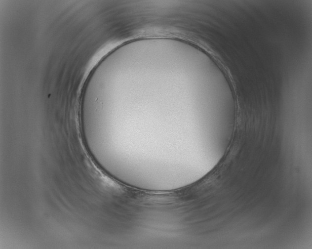 X0000076331486200610201652