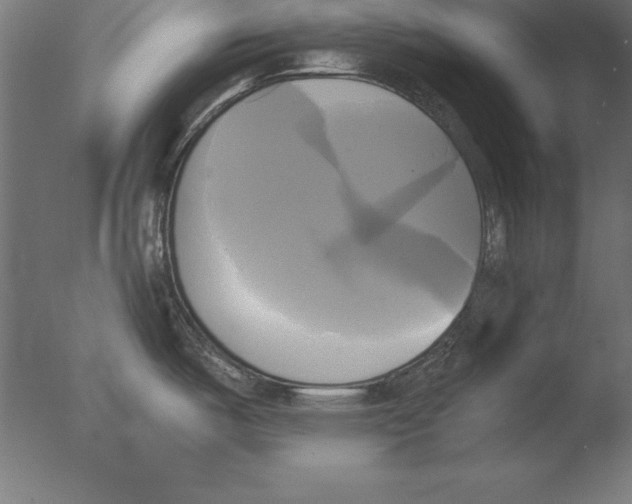 X0000076331487200610201652