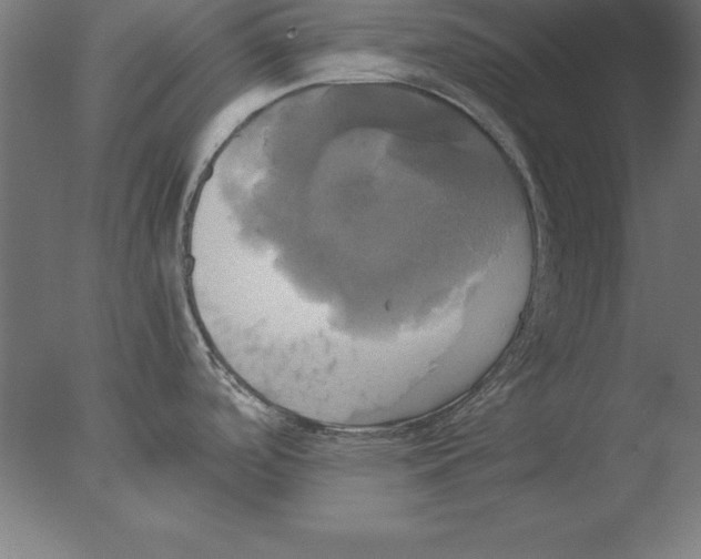 X0000076331488200610201652