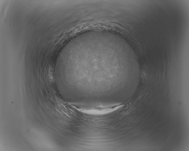 X0000076331490200610201651