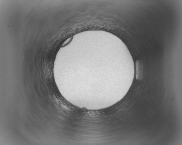 X0000076331491200610201651