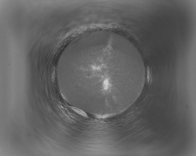 X0000076331492200610201651