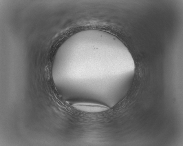 X0000076331493200610201651