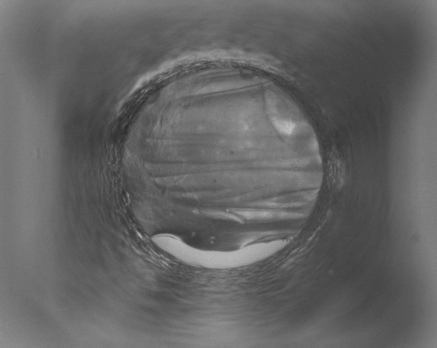 X0000076331494200610201651