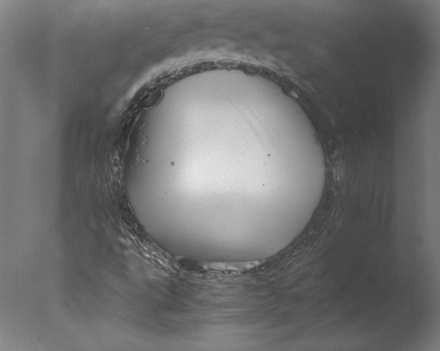 X0000076331495200610201651