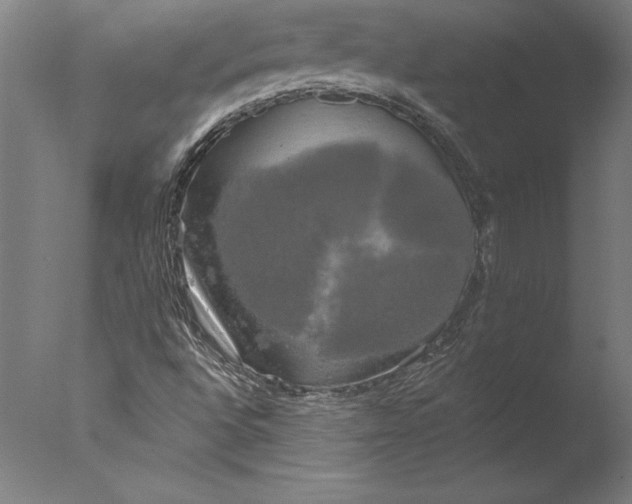 X0000076331496200610201651