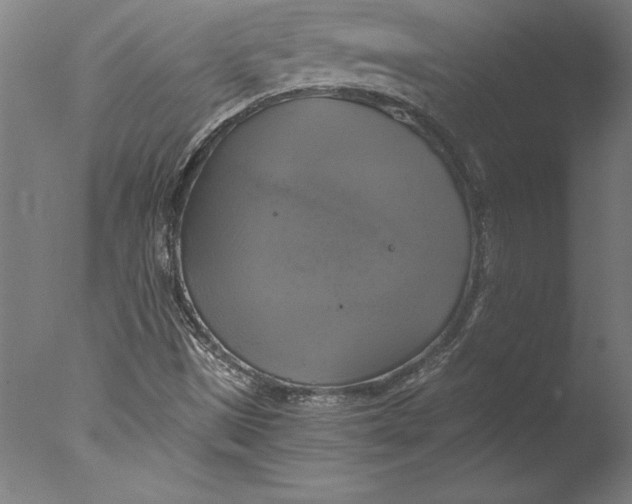 X0000076331497200610201651