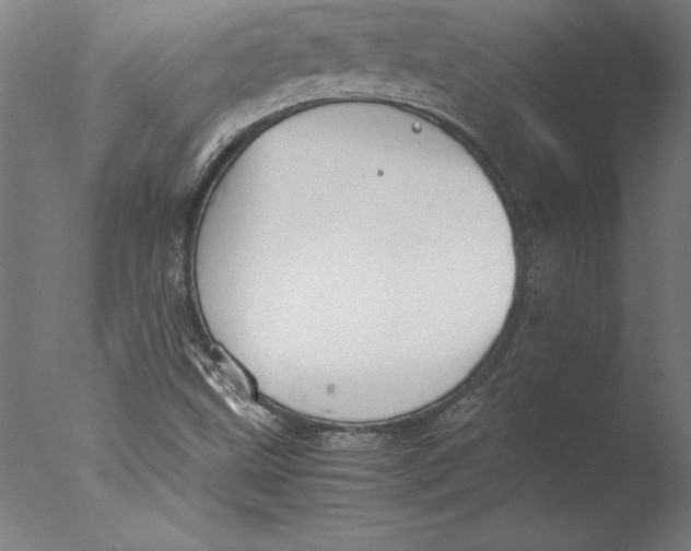 X0000076331499200610201651