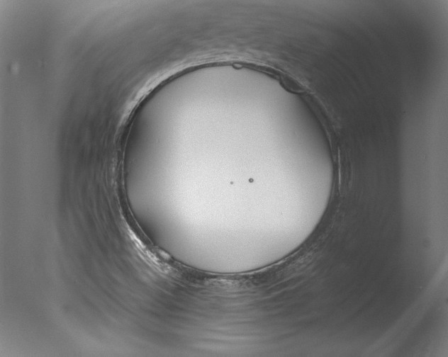 X0000076331500200610201651