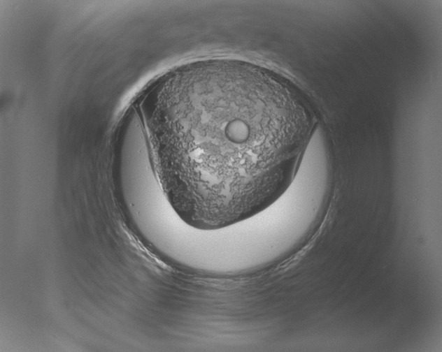 X0000076331502200610201651