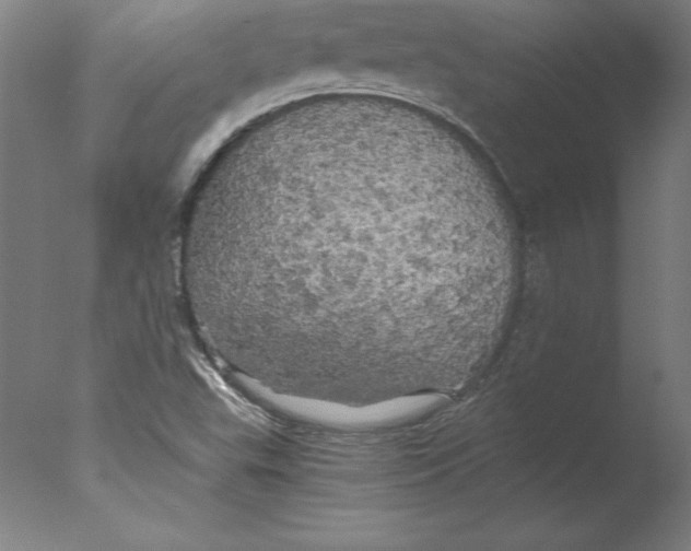 X0000076331503200610201651