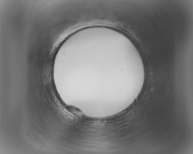 X0000076331504200610201651