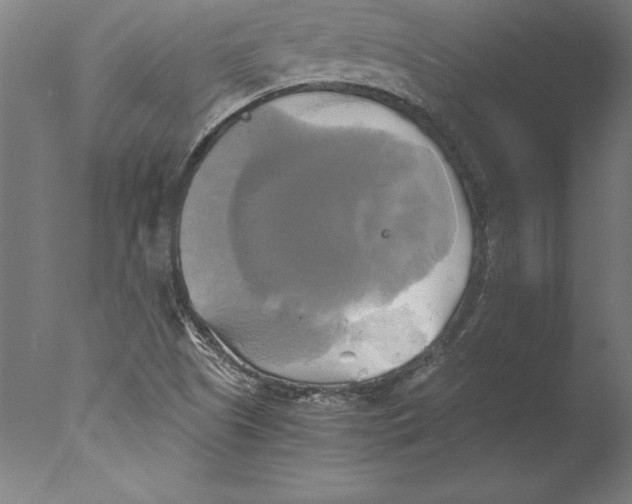 X0000076331505200610201651