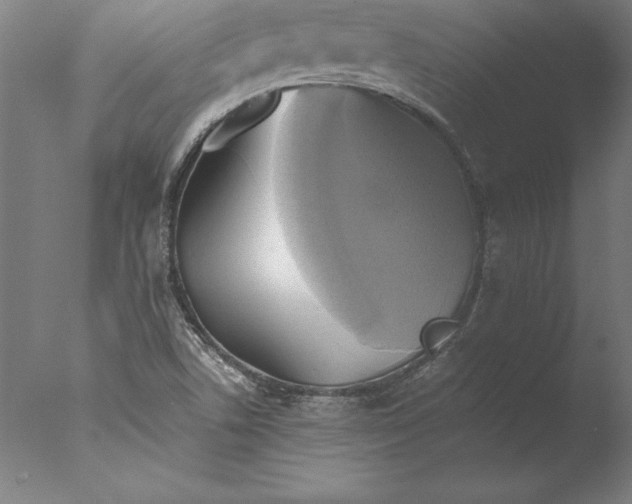 X0000076331506200610201651