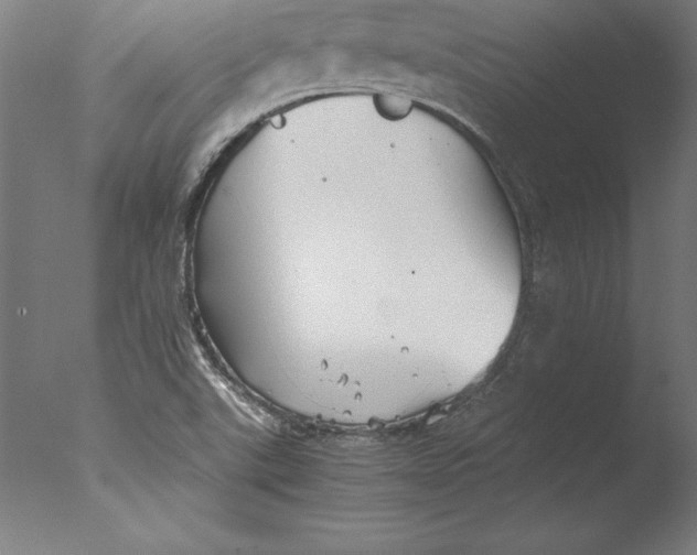 X0000076331507200610201651