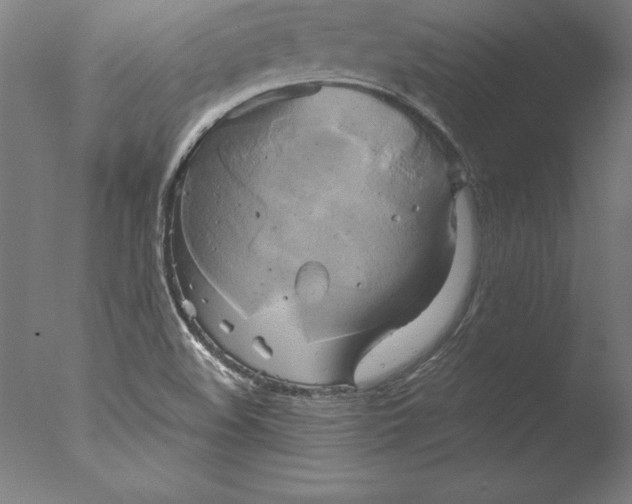 X0000076331508200610201651