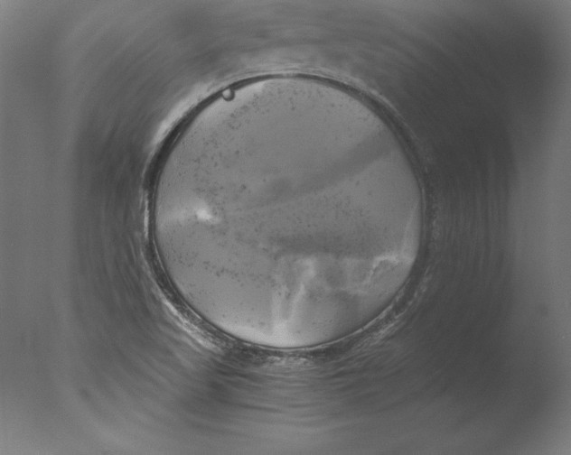 X0000076331509200610201651