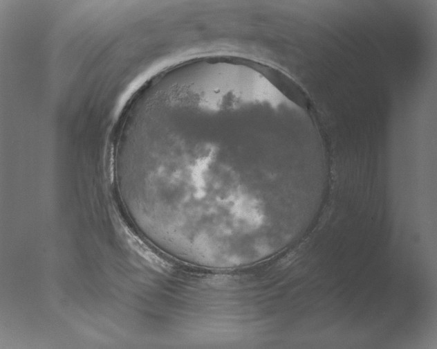 X0000076331510200610201651