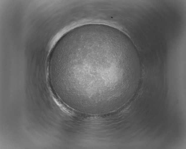 X0000076331511200610201651