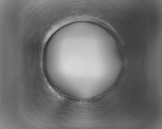 X0000076331512200610201651