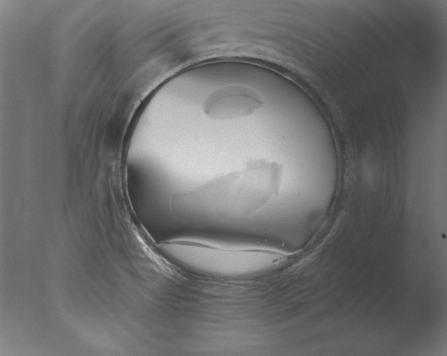 X0000076331513200610201651