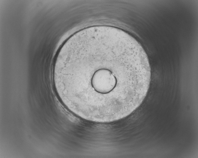 X0000076331514200610201651