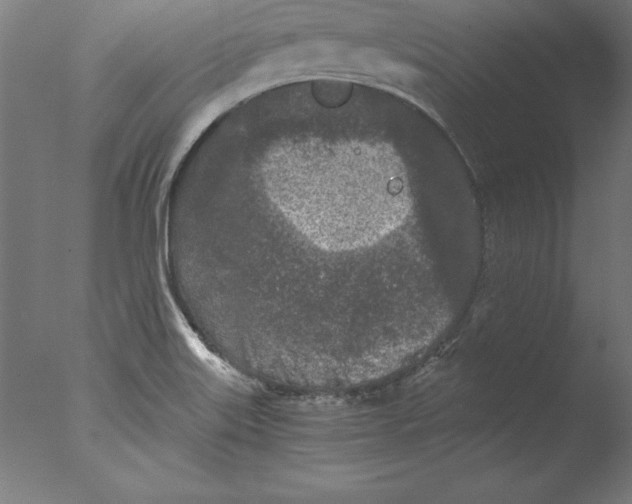 X0000076331515200610201651