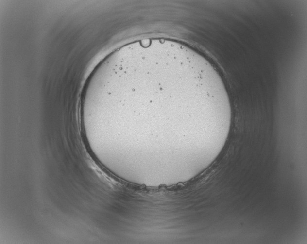 X0000076331516200610201651