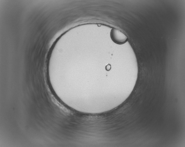 X0000076331518200610201651