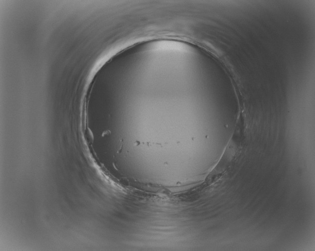 X0000076331520200610201651