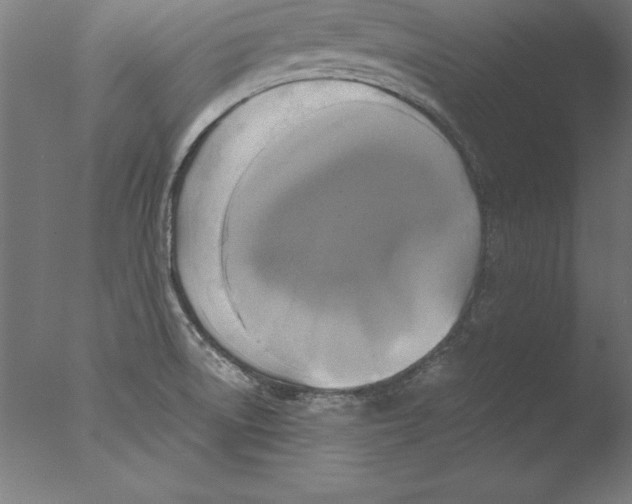 X0000076331522200610201651