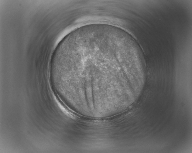 X0000076331523200610201651