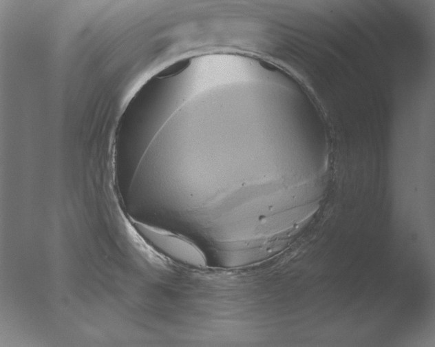 X0000076331524200610201651