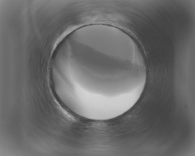 X0000076331525200610201651